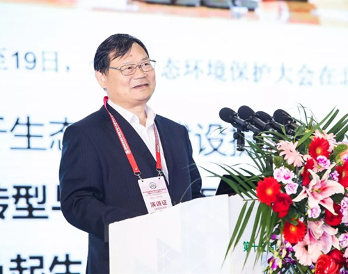 叶浩文.webp.jpg